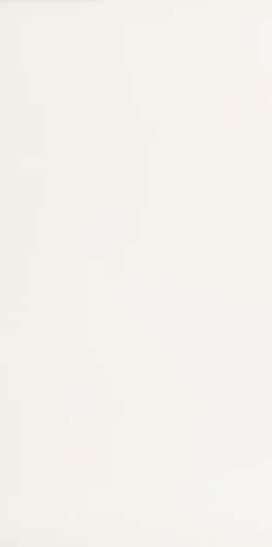 Alaska Alaska Super White porcelain tile, 60×120 cm, Polished finish