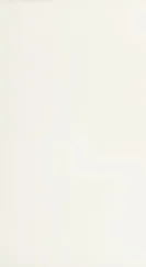 Alaska Alaska White porcelain tile, 30×60 cm, Polished finish